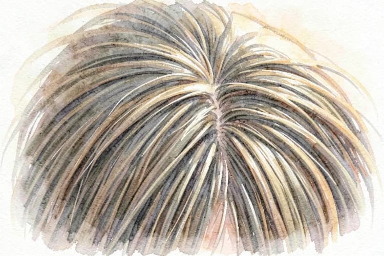 Cabelo crescendo forte e saudável em um couro cabeludo